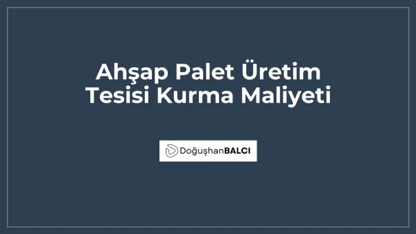 Ahşap Palet Üretim Tesisi Kurma Maliyeti