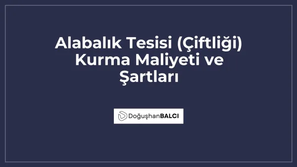 Alabalık Tesisi (Çiftliği) Kurma Maliyeti ve Şartları