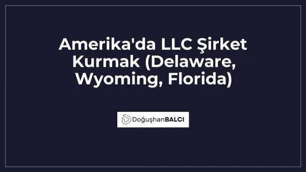 Amerika'da LLC Şirket Kurmak (Delaware, Wyoming, Florida)