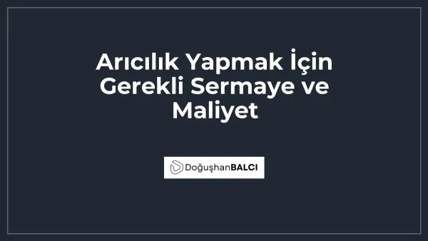 Arıcılık Yapmak İçin Gerekli Sermaye ve Maliyet