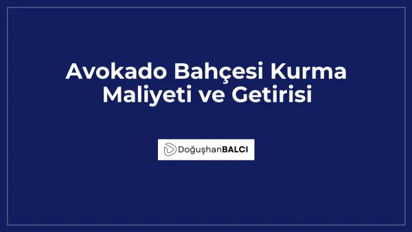 Avokado Bahçesi Kurma Maliyeti ve Getirisi