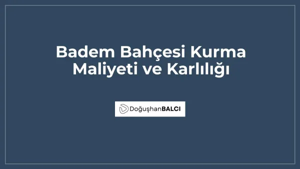 Badem Bahçesi Kurma Maliyeti ve Karlılığı