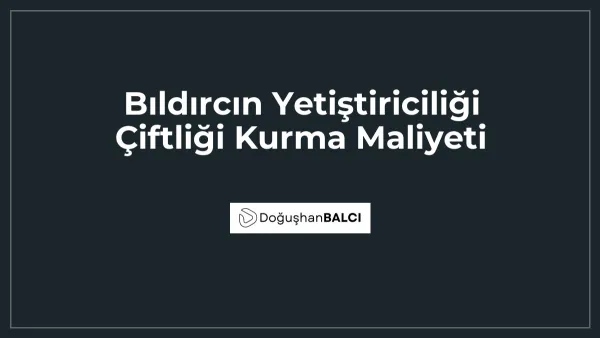 Bıldırcın Yetiştiriciliği Çiftliği Kurma Maliyeti