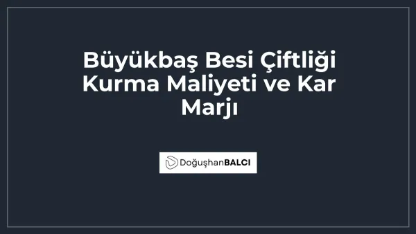 Büyükbaş Besi Çiftliği Kurma Maliyeti ve Kar Marjı