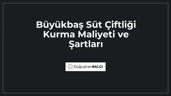 Büyükbaş Süt Çiftliği Kurma Maliyeti ve Şartları