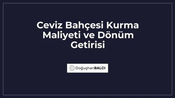 Ceviz Bahçesi Kurma Maliyeti ve Dönüm Getirisi