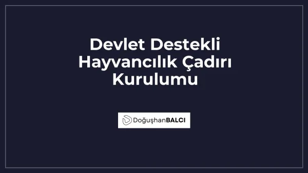 Devlet Destekli Hayvancılık Çadırı Kurulumu