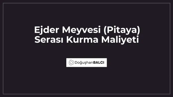 Ejder Meyvesi (Pitaya) Serası Kurma Maliyeti