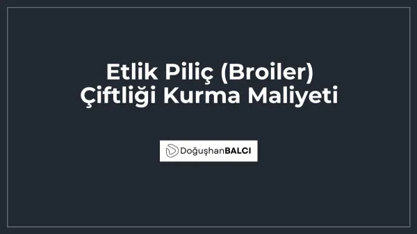 Etlik Piliç (Broiler) Çiftliği Kurma Maliyeti