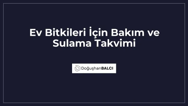 Ev Bitkileri İçin Bakım ve Sulama Takvimi