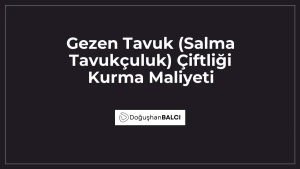 Gezen Tavuk (Salma Tavukçuluk) Çiftliği Kurma Maliyeti