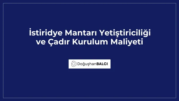 İstiridye Mantarı Yetiştiriciliği ve Çadır Kurulum Maliyeti