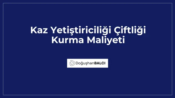 Kaz Yetiştiriciliği Çiftliği Kurma Maliyeti