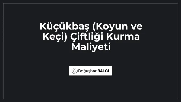 Küçükbaş (Koyun ve Keçi) Çiftliği Kurma Maliyeti