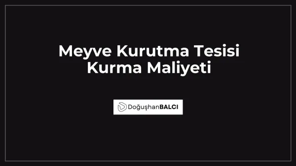 Meyve Kurutma Tesisi Kurma Maliyeti