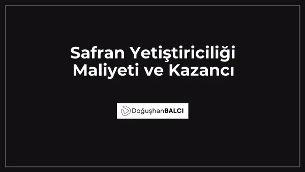 Safran Yetiştiriciliği Maliyeti ve Kazancı