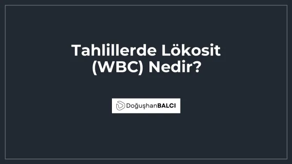 Tahlillerde Lökosit (WBC) Nedir?