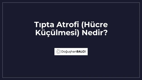 Tıpta Atrofi (Hücre Küçülmesi) Nedir?