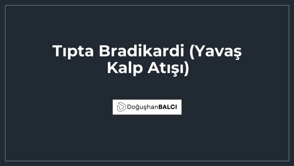 Tıpta Bradikardi (Yavaş Kalp Atışı)