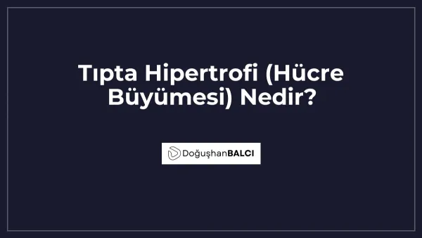Tıpta Hipertrofi (Hücre Büyümesi) Nedir?