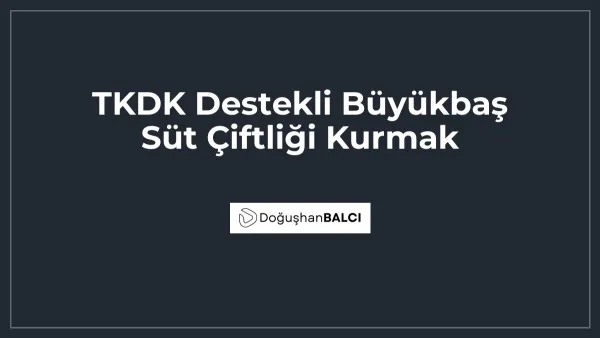 TKDK Destekli Büyükbaş Süt Çiftliği Kurmak