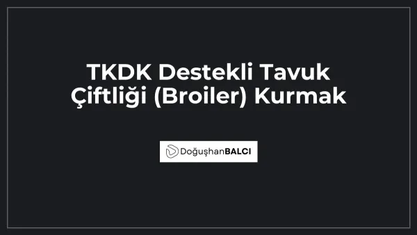 TKDK Destekli Tavuk Çiftliği (Broiler) Kurmak