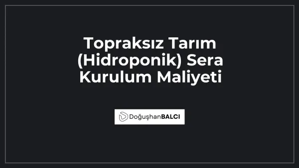 Topraksız Tarım (Hidroponik) Sera Kurulum Maliyeti