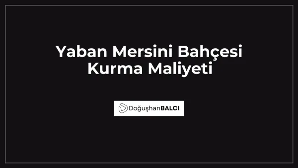 Yaban Mersini Bahçesi Kurma Maliyeti