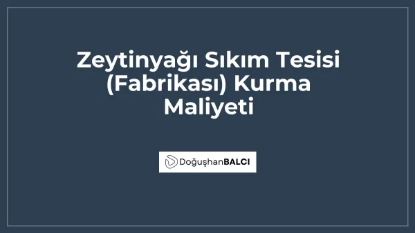 Zeytinyağı Sıkım Tesisi (Fabrikası) Kurma Maliyeti
