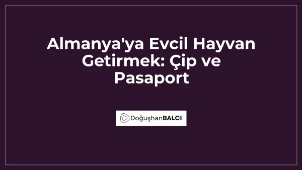 Almanya'ya Evcil Hayvan Getirmek: Çip ve Pasaport