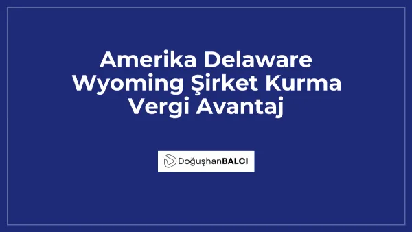 Amerika Delaware Wyoming Şirket Kurma Vergi Avantaj