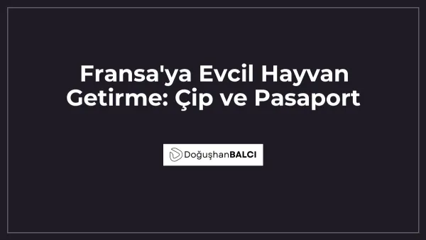 Fransa'ya Evcil Hayvan Getirme: Çip ve Pasaport