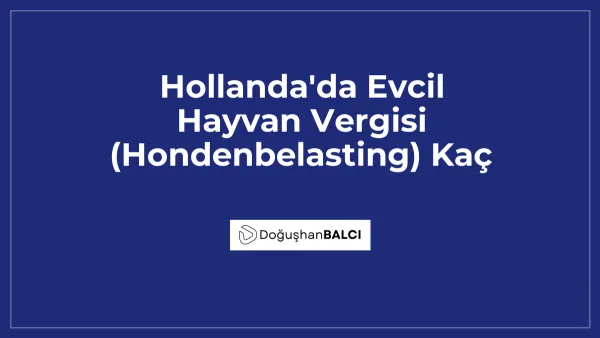 Hollanda'da Evcil Hayvan Vergisi (Hondenbelasting) Kaç