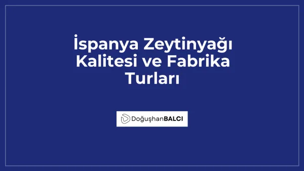 İspanya Zeytinyağı Kalitesi ve Fabrika Turları