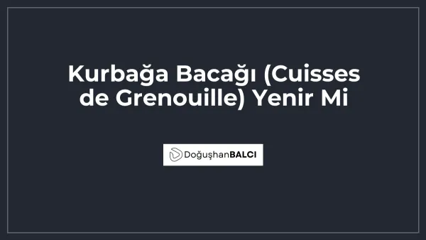 Kurbağa Bacağı (Cuisses de Grenouille) Yenir Mi