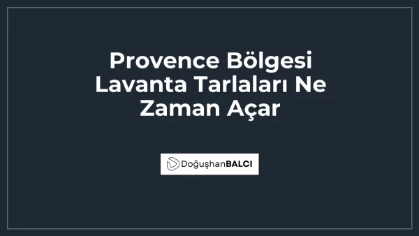 Provence Bölgesi Lavanta Tarlaları Ne Zaman Açar