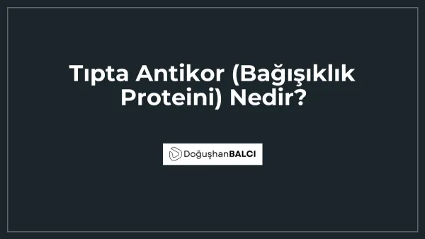 Tıpta Antikor (Bağışıklık Proteini) Nedir?