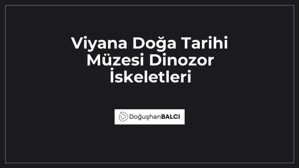 Viyana Doğa Tarihi Müzesi Dinozor İskeletleri